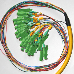 24 Fiber E2000/APC Bunch Fanout Pigtails 9/125 OS2 Singlemode