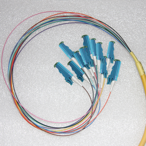 12 Fiber E2000 Bunch Fanout Pigtails 9/125 OS2 Singlemode 12 Fiber E2000 Bunch Fanout Pigtails 9/125 OS2 Singlemode