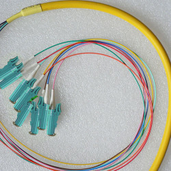 8 Fiber E2000 Bunch Fanout Pigtails 9/125 OS2 Singlemode 8 Fiber E2000 Bunch Fanout Pigtails 9/125 OS2 Singlemode