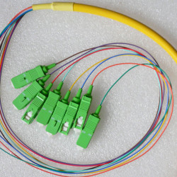 8 Fiber SC/APC Bunch Fanout Pigtails 9/125 OS2 Singlemode 8 Fiber SC/APC Bunch Fanout Pigtails 9/125 OS2 Singlemode