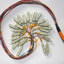 24 Fiber SC Bunch Fanout Pigtails 50/125 OM2 Multimode 24 Fiber SC Bunch Fanout Pigtails 50/125 OM2 Multimode