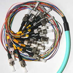 24 Fiber ST Bunch Fanout Pigtails 50/125 OM3 Multimode 24 Fiber ST Bunch Fanout Pigtails 50/125 OM3 Multimode