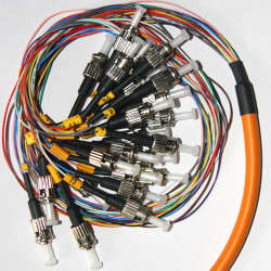 24 Fiber ST Bunch Fanout Pigtails 50/125 OM2 Multimode 24 Fiber ST Bunch Fanout Pigtails 50/125 OM2 Multimode