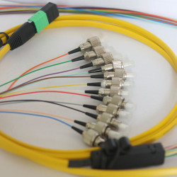 12F MPO/APC Female to FC/UPC 9/125 OS2 Singlemode Patch Cord 12F MPO/APC Female to FC/UPC 9/125 OS2 Singlemode Patch Cord
