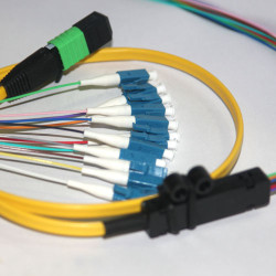 12F MPO/APC Female to LC/UPC 9/125 OS2 Singlemode Patch Cord 12F MPO/APC Female to LC/UPC 9/125 OS2 Singlemode Patch Cord
