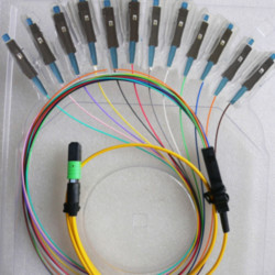 12F MPO/APC Female to MU/UPC 9/125 OS2 Singlemode Patch Cord 12F MPO/APC Female to MU/UPC 9/125 OS2 Singlemode Patch Cord