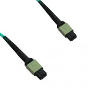 12F MTP/PC Female to MTP/PC Female 50/125 OM3 Multimode Patch Cord