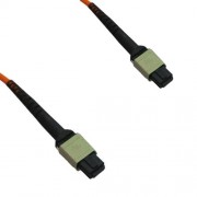 12F MTP/PC Female to MTP/PC Female 50/125 OM2 Multimode Patch Cord