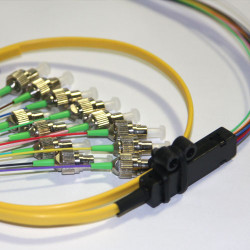 12 Fiber FC/APC Ribbon Fanout Pigtails 9/125 OS2 Singlemode 12 Fiber FC/APC Ribbon Fanout Pigtails 9/125 OS2 Singlemode