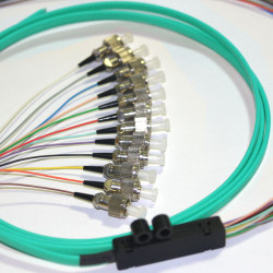 12 Fiber FC Ribbon Fanout Pigtails 50/125 OM3 Multimode 12 Fiber FC Ribbon Fanout Pigtails 50/125 OM3 Multimode