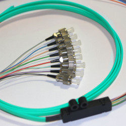 8 Fiber FC Ribbon Fanout Pigtails 50/125 OM3 Multimode 8 Fiber FC Ribbon Fanout Pigtails 50/125 OM3 Multimode