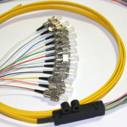 12 Fiber FC Ribbon Fanout Pigtails 9/125 OS2 Singlemode 12 Fiber FC Ribbon Fanout Pigtails 9/125 OS2 Singlemode