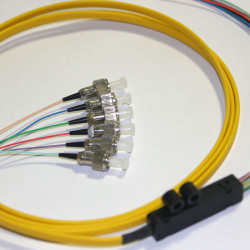 6 Fiber FC Ribbon Fanout Pigtails 9/125 OS2 Singlemode