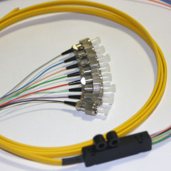 8 Fiber FC Ribbon Fanout Pigtails 9/125 OS2 Singlemode 8 Fiber FC Ribbon Fanout Pigtails 9/125 OS2 Singlemode