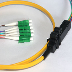 6 Fiber LC/APC Ribbon Fanout Pigtails 9/125 OS2 Singlemode