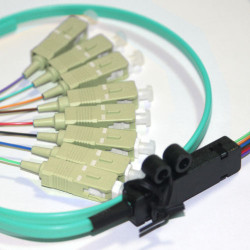 8 Fiber SC Ribbon Fanout Pigtails 50/125 OM3 Multimode