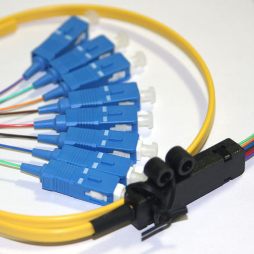 8 Fiber SC Ribbon Fanout Pigtails 9/125 OS2 Singlemode 8 Fiber SC Ribbon Fanout Pigtails 9/125 OS2 Singlemode