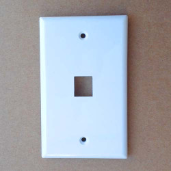 1 Hole 120 Type Wall Plate White Color
