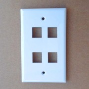 4 Hole 120 Type Wall Plate White Color